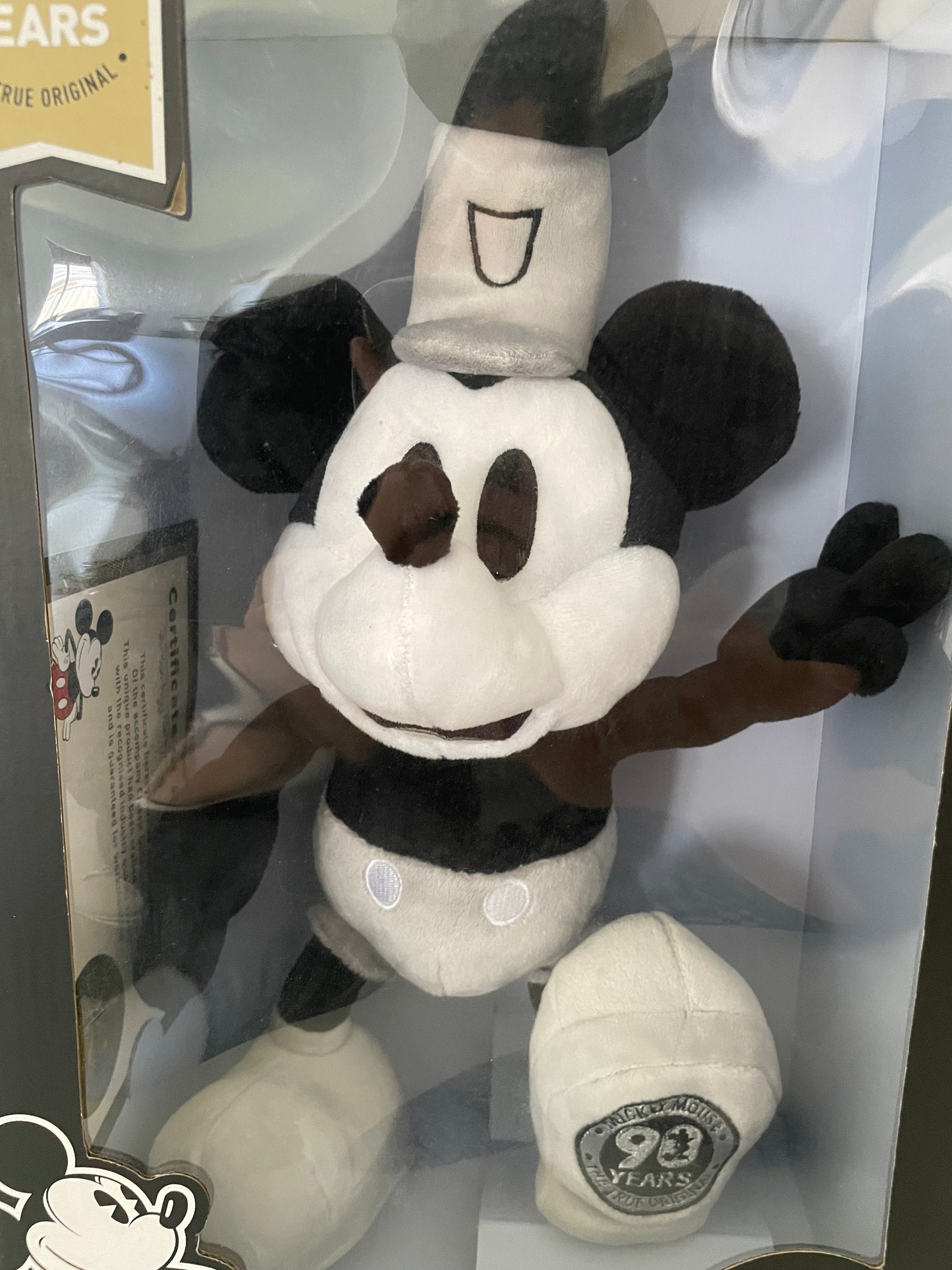 Steamboat Willie
