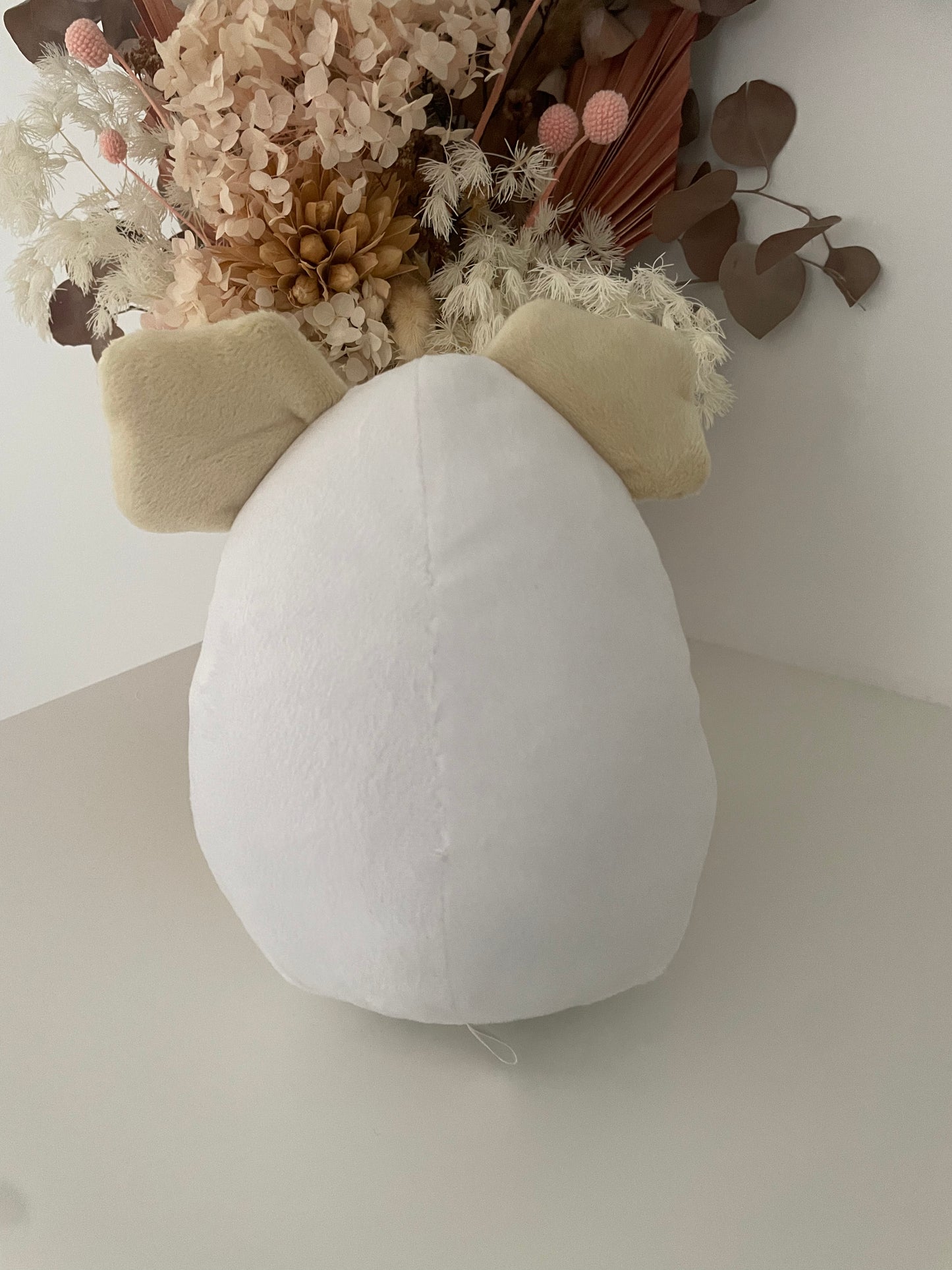 Eggwala