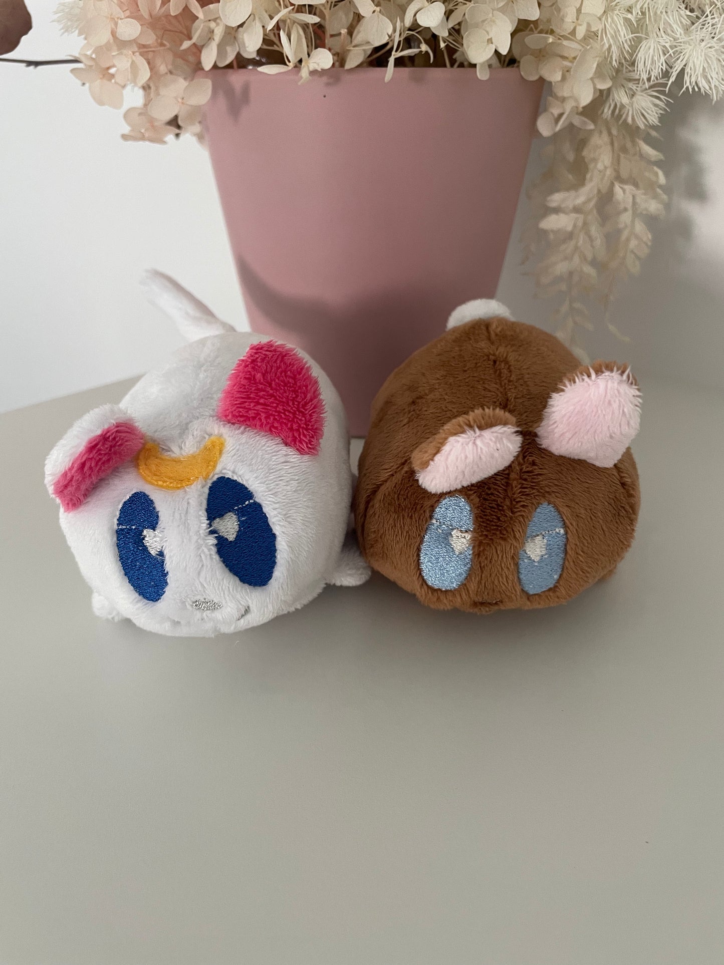 Luna and Coco