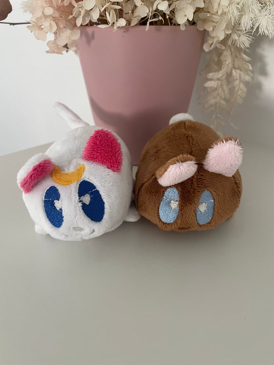 Luna and Coco